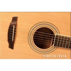 Акустическая гитара FLIGHT AD-200 NA + Чехол 